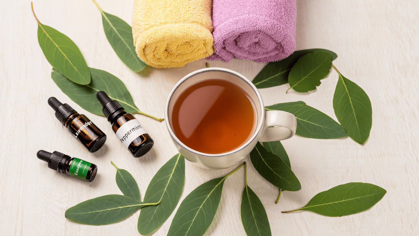 Bib et Bob DIY galerie