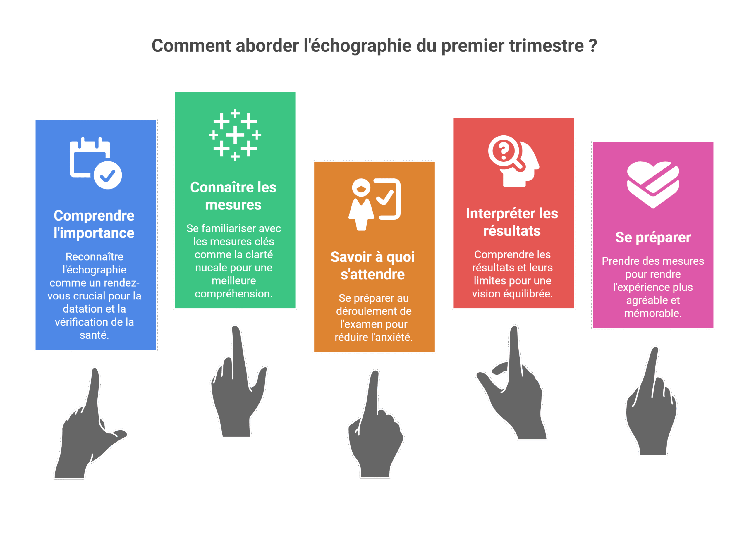 Échographie 12 semaines | Le guide pour tout savoir